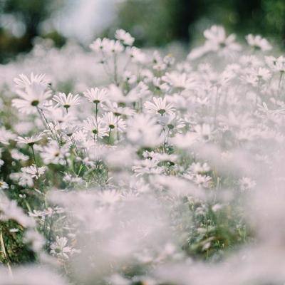 亚虎娱乐下载手机版