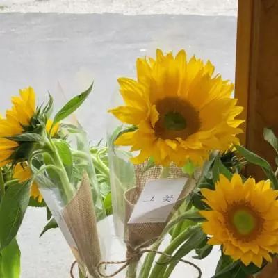 天博网页版登录界面